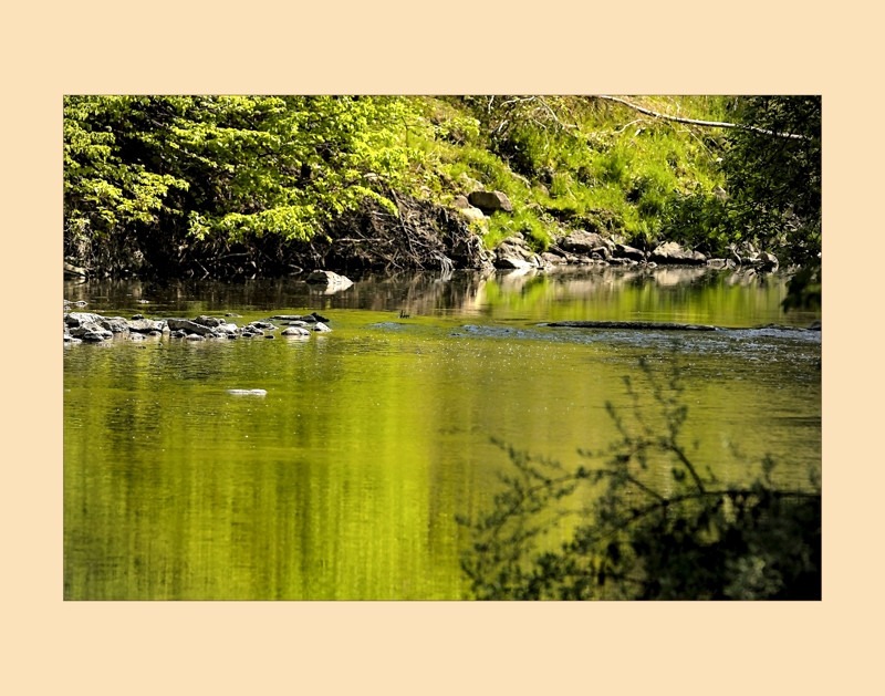 By the Creek in Morningside Park- 02